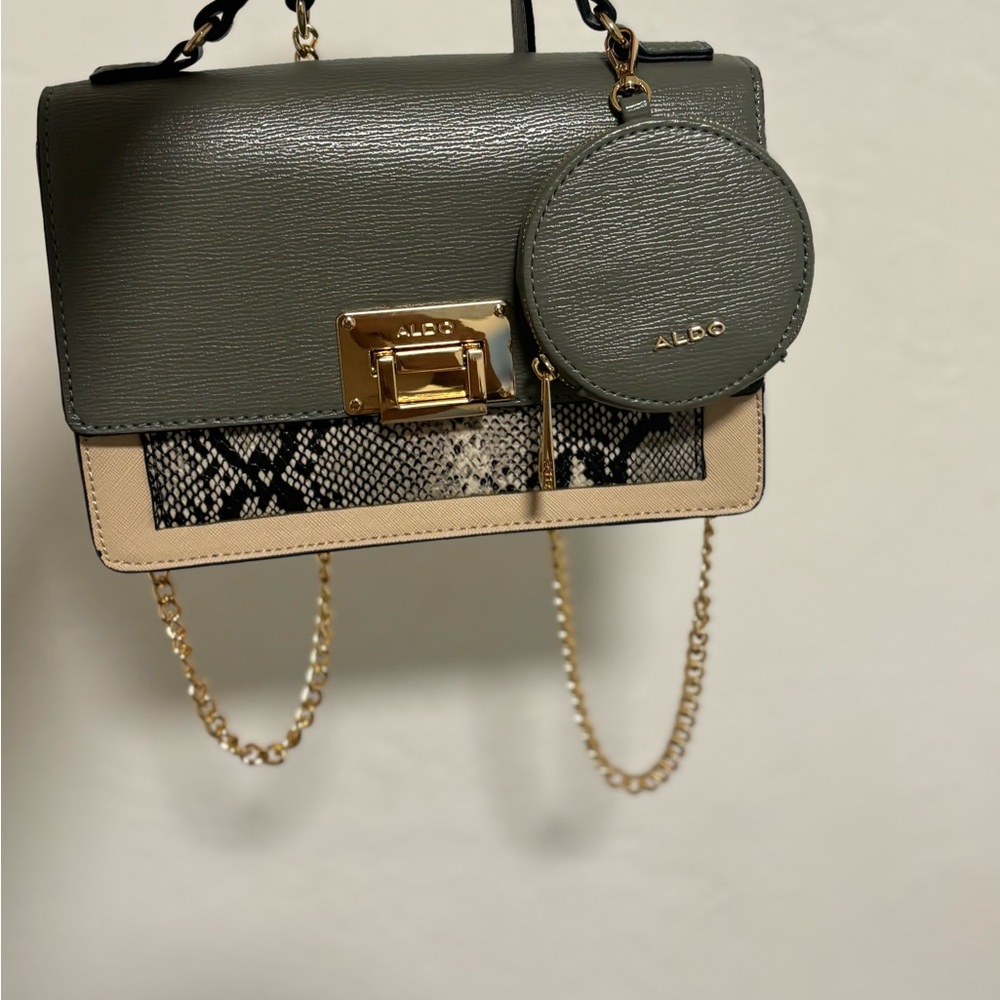 Aldo one size handbag for women. #Chain #green #cream #withpurseforcoins